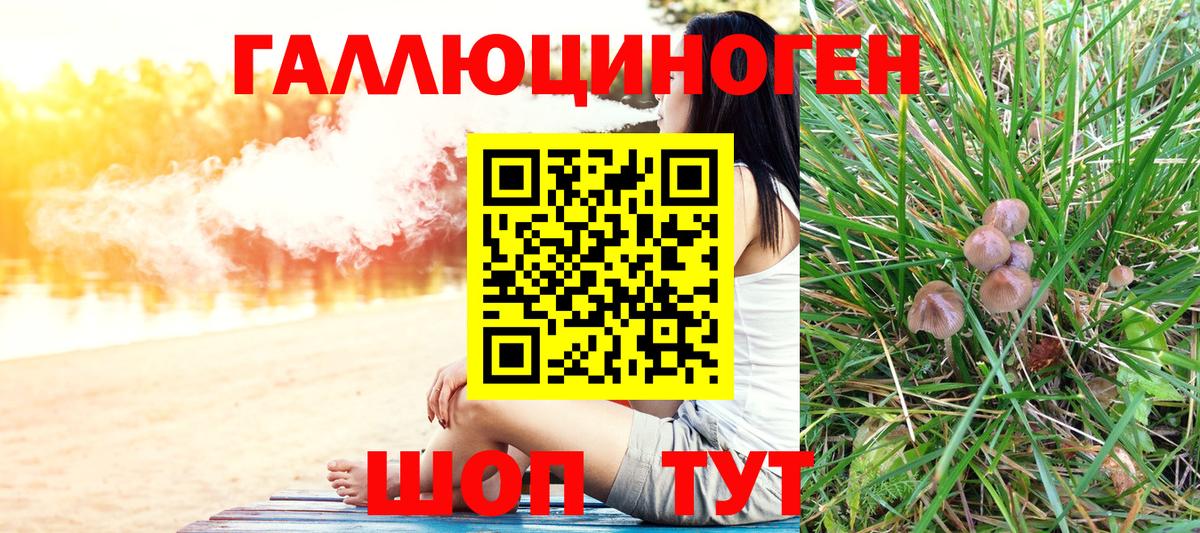 Галлюциногенные грибы Psilocybe Кудымкар