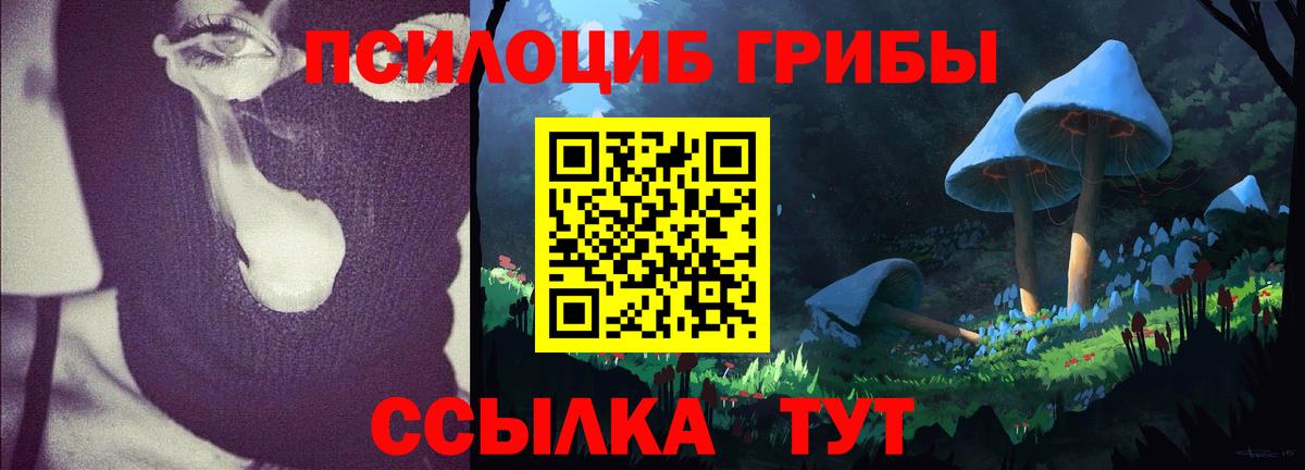 Кудымкар  Псилоцибиновые грибы GOLDEN TEACHER  Вход с VPN 